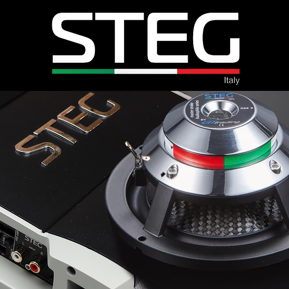 STEG